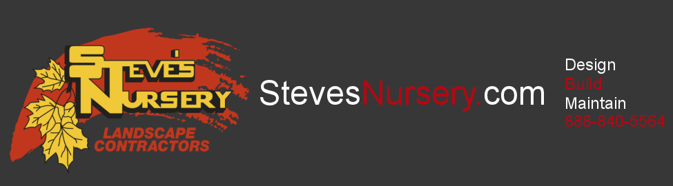 Steve's Nursery